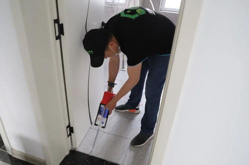 專(zhuān)業(yè)家政，品質(zhì)保障——莒縣美家美邦，您的貼心保潔專(zhuān)家