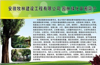 匠心苗圃 綠動(dòng)未來(lái)——園林綠化苗圃培育與銷(xiāo)售簡(jiǎn)介